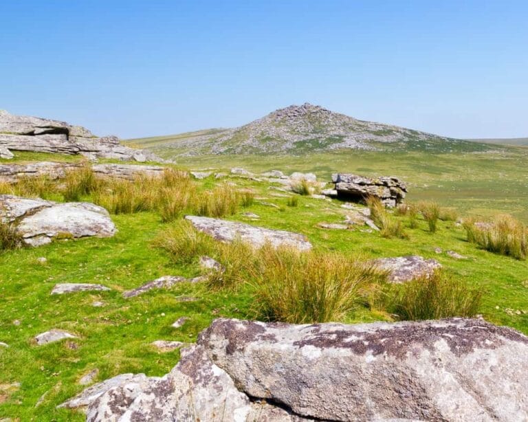 Rough country insurance